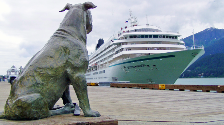 A bronze statue of Patsy Ann, a bull terrier with perked ears and wagging tail, sitting on the Juneau waterfront facing the harbour. She appears to be watching ships arrive, as she once did in life.