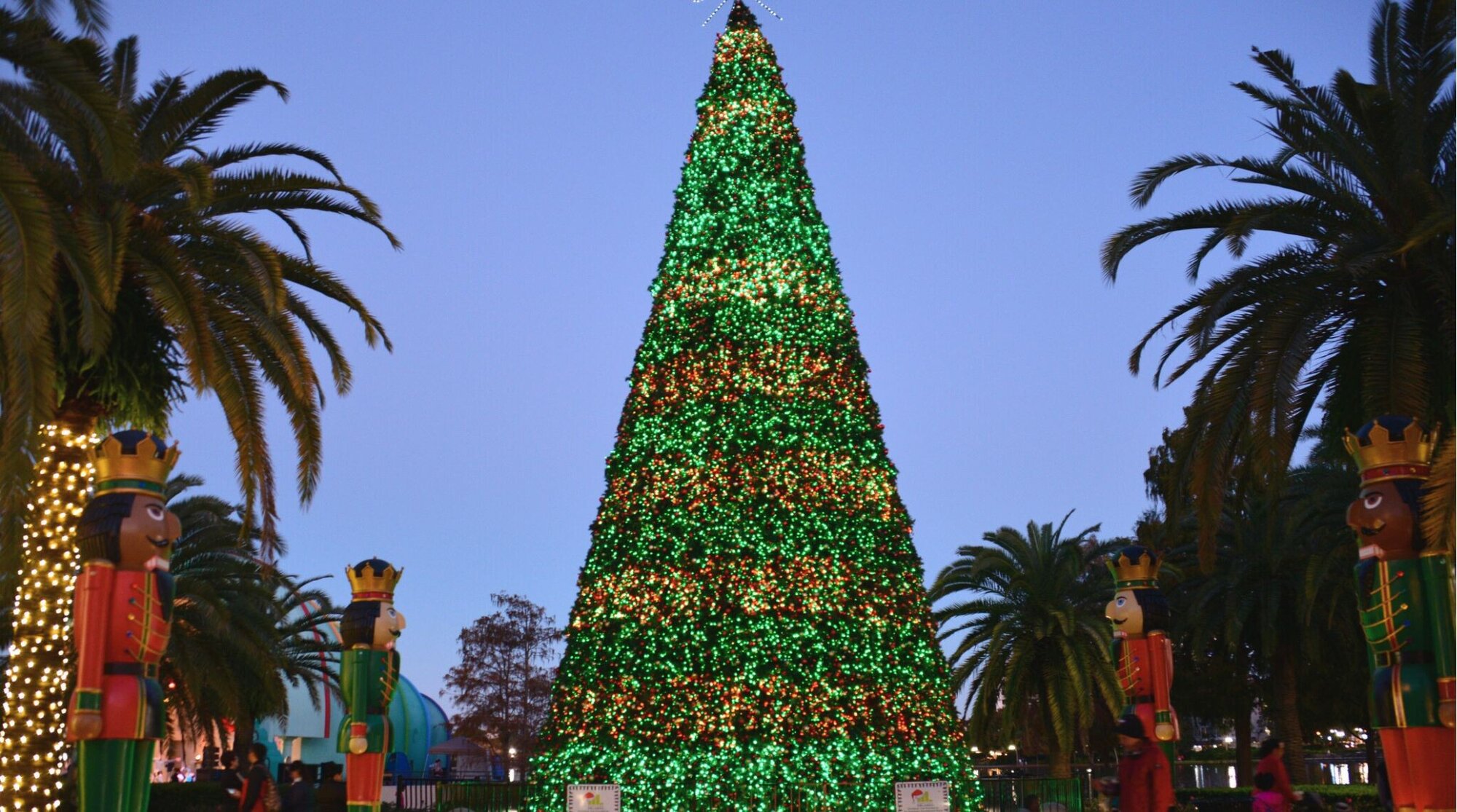Árvore e decoração de natal em Lake Eola Park, Orlando