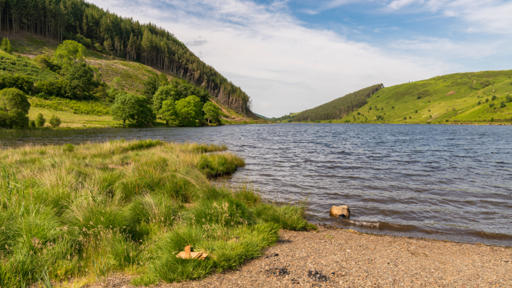 The shores of Llyn Geirionydd, a Welsh waterway surrounded by green hills and forests