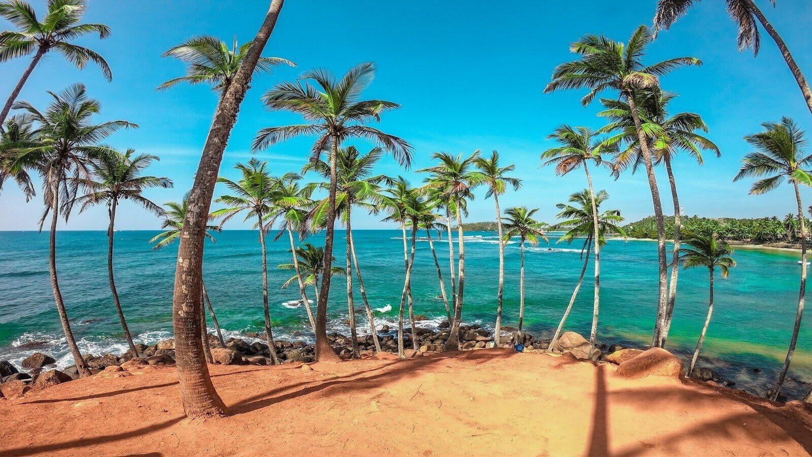 Palm trees on a beach shore during the day from the top of Coconut Tree Hill in Mirissa, Sri Lanka