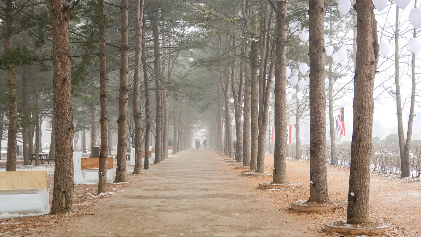 韓国ドラマ『冬のソナタ』のロケ地になった南怡島の並木道の雪景色