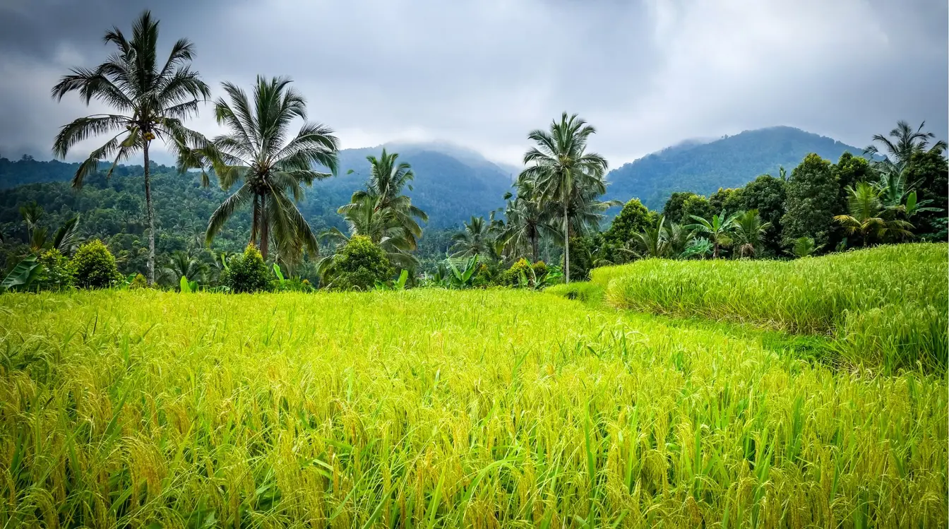 Munduk's picturesque nature is perfect for outdoor adventures.