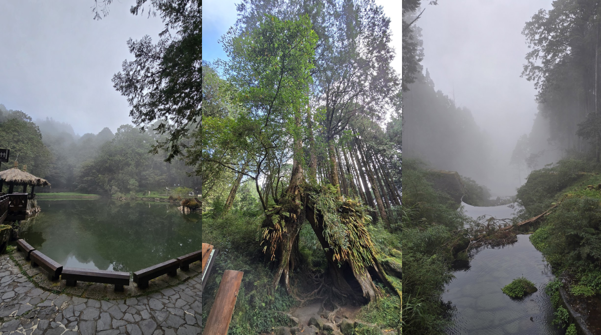Different parts of the Sister Ponds Trail (姊妹潭步道)