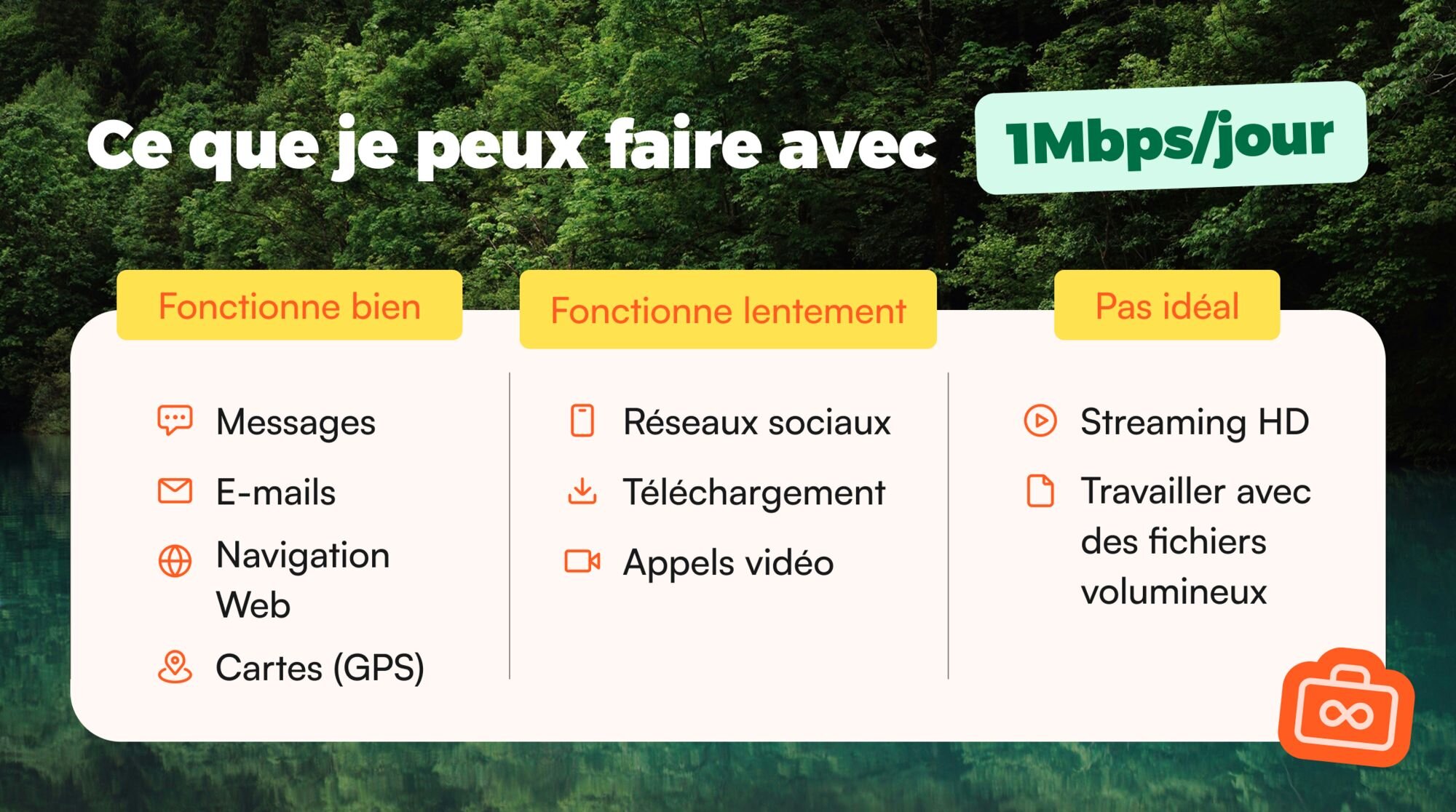 Infographie comparant les usages possibles à 1 Mbit/s : messagerie, e-mails, navigation et GPS fonctionnent bien, tandis que le streaming HD et les fichiers volumineux sont limités.