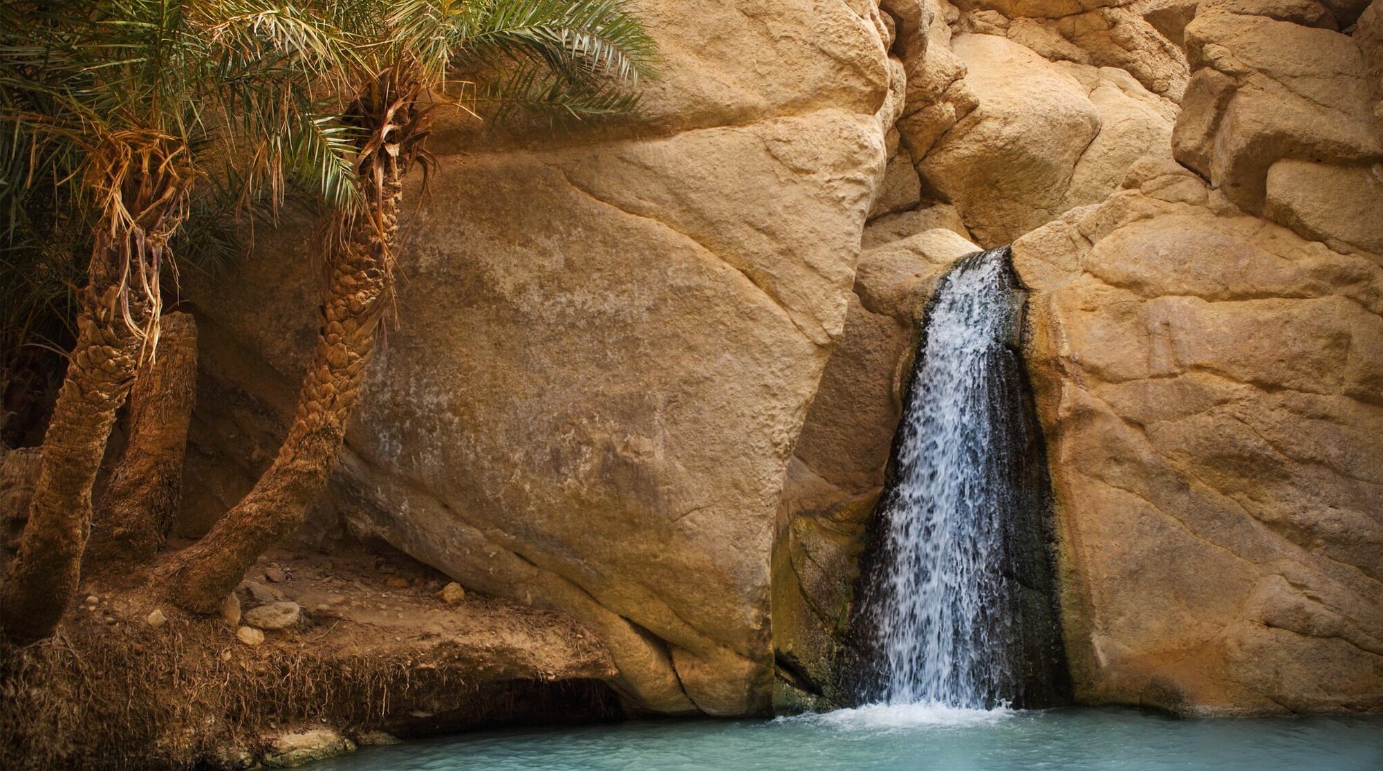 ou partir vacances d'avril tunisie tozeur