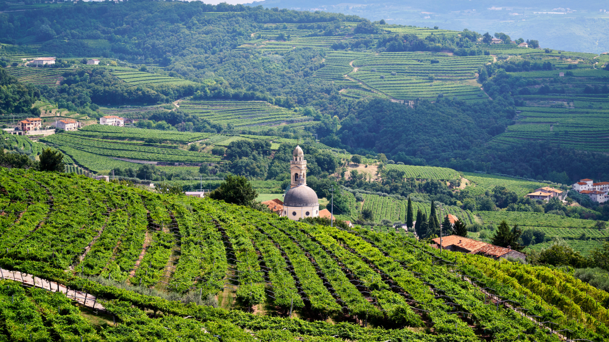 Canonici di San Marco – Italia
