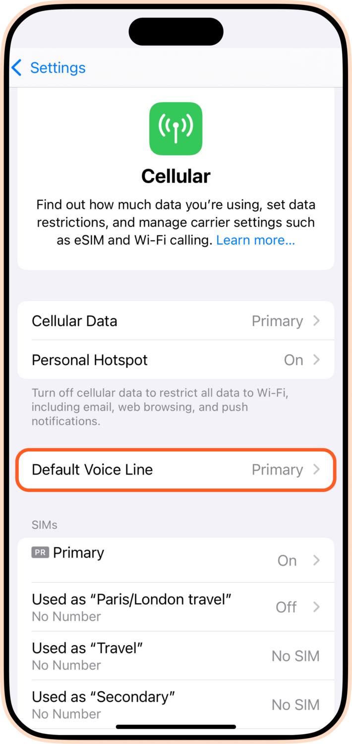 Default voice line iPhone