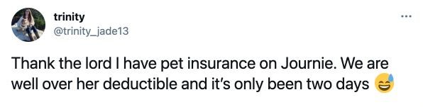 twitter pet insurance review