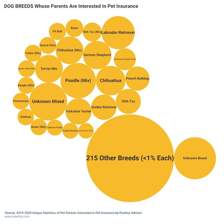 Most popular dog breeds of parents interested in pet insurance image