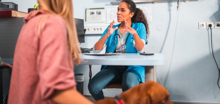 vet talking to client in office