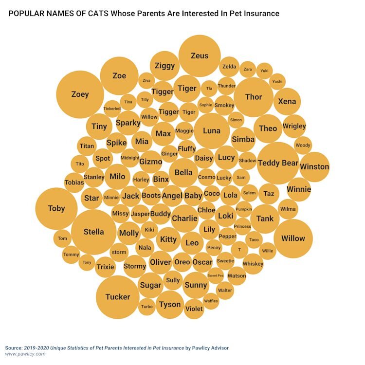 most popular cat names image