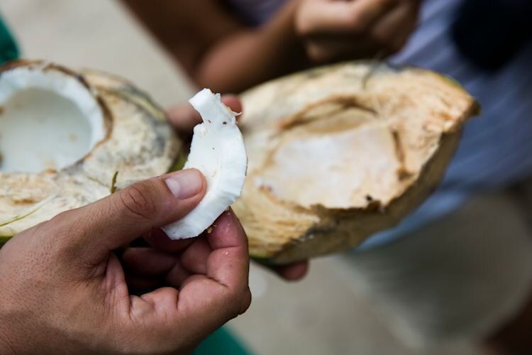 coconut