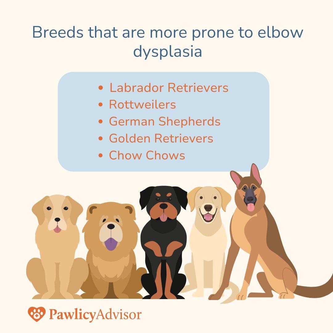 breed predespositions