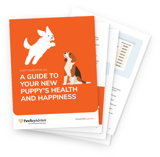 Image: Puppy Parenting 101 - A guide to your new puppy's health and happiness