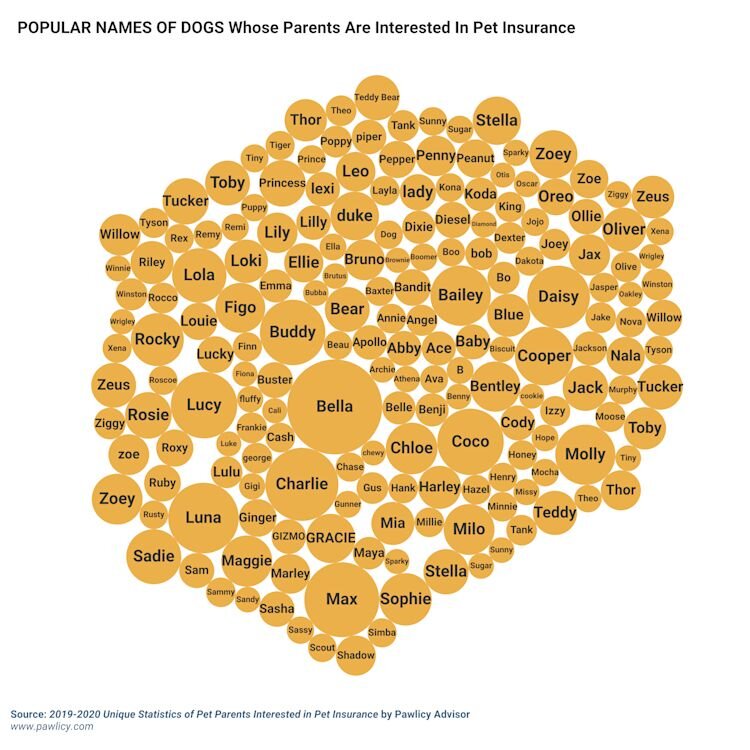 most popular pet names image