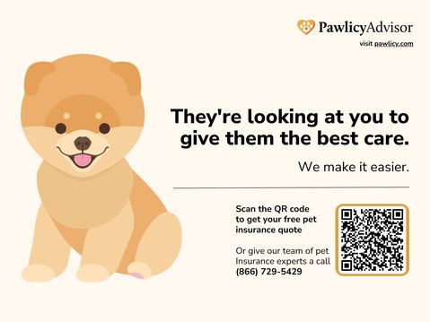 Pawlicy Advisor Wallpaper Screensaver Image 3