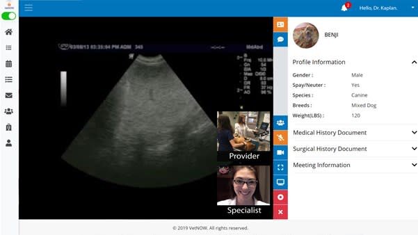 vetnow remote diagnostics image