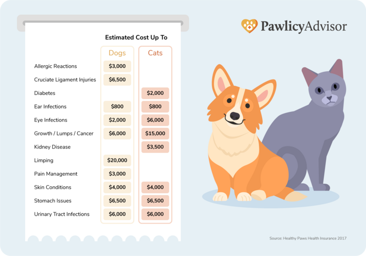 condition costs of cats and dogs