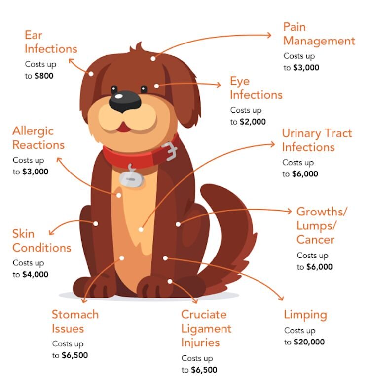 dog cost treatment