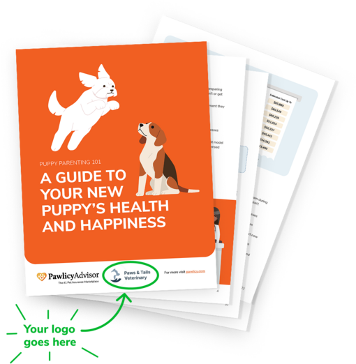 Image: Puppy Parenting 101 - A guide to your new puppy's health and happiness