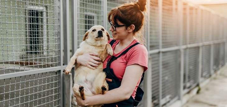 woman adopting a dog from the pound