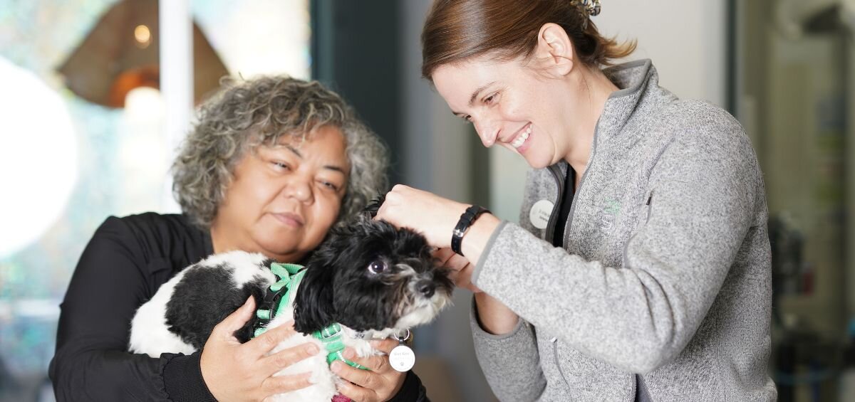 dog check-up at Sage Veterinary Center