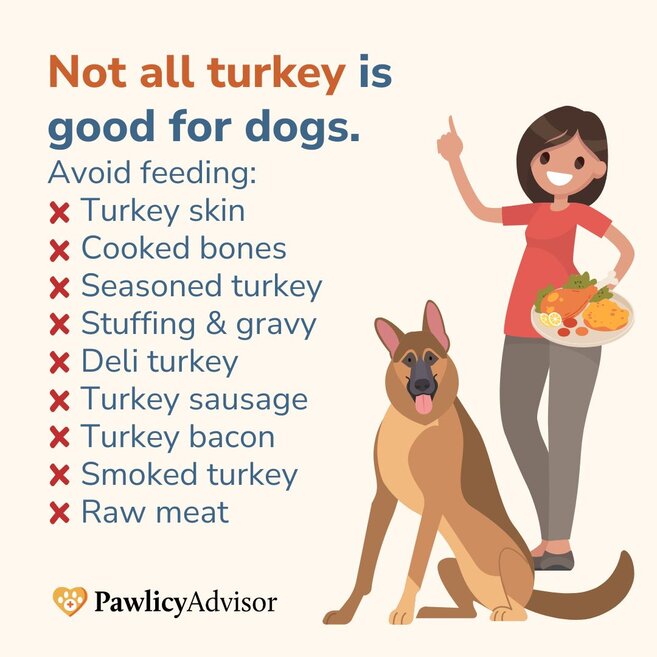 risks of dog eating turkey