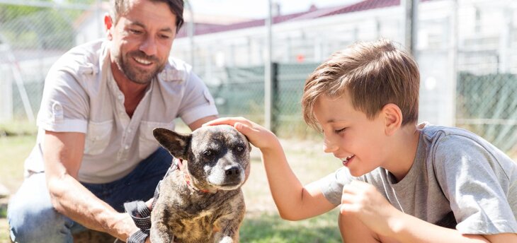 family adopting an older dog