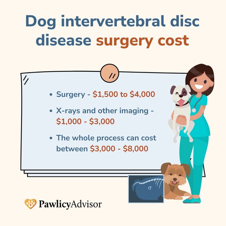 Intervertebral disc surgery cost