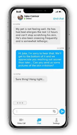 vet chat image