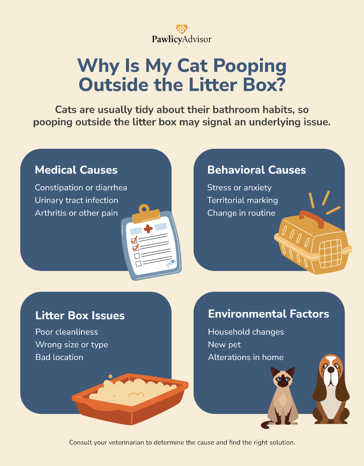 why cats poop outside litter box causes infographics