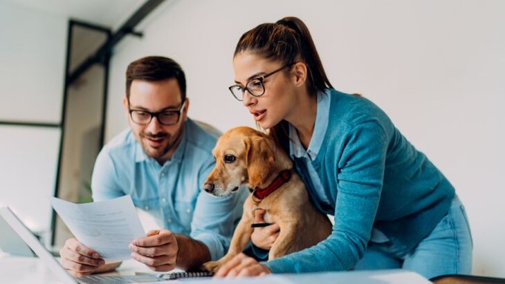 pet owners reading pet insurance policy