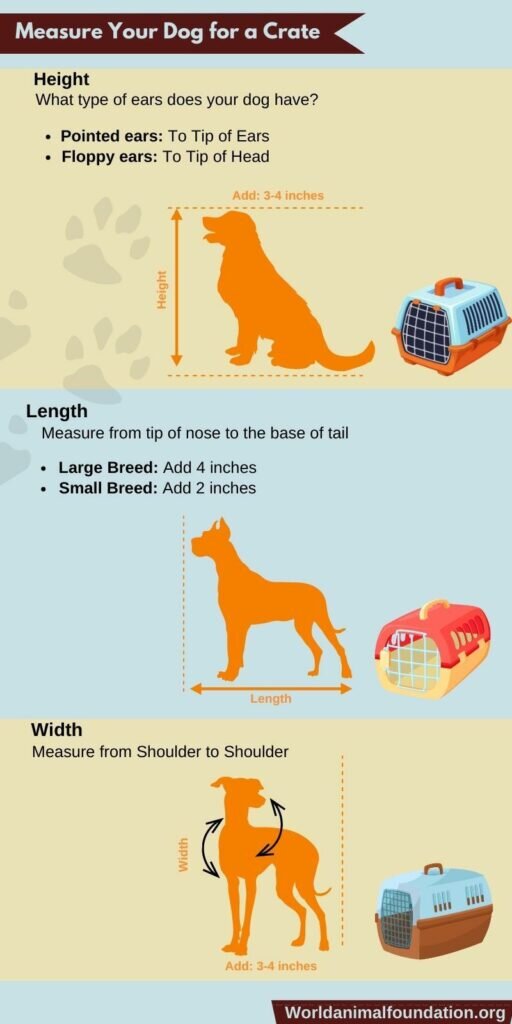 how to measure dog for a crate graphic