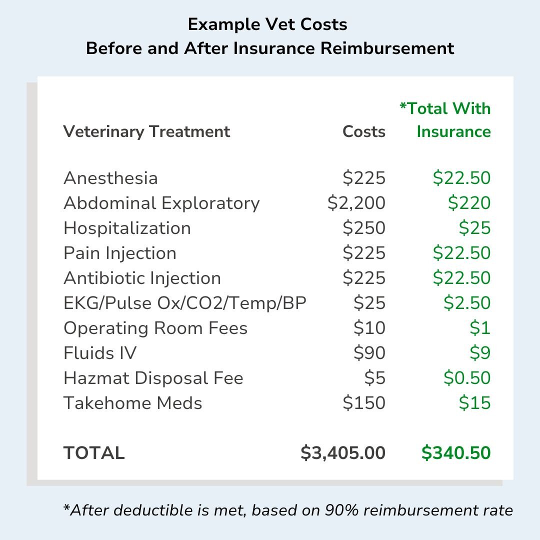 example vet bill before and after pet insurance reimbursement