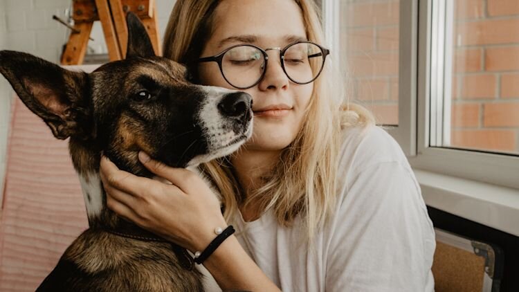 dog with owner