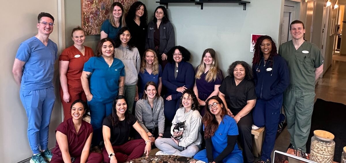 Sage Veterinary Center staff
