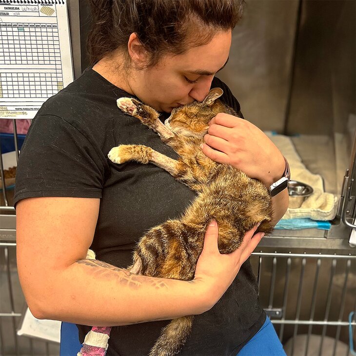 a staff holding a cat in recovery
