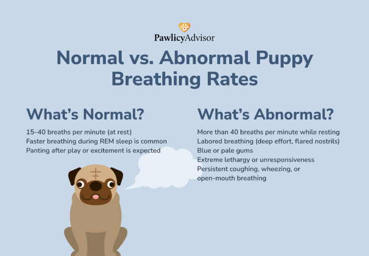 normal vs. abnormal breathing rates infographics