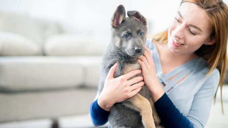 woman holding a new puppy