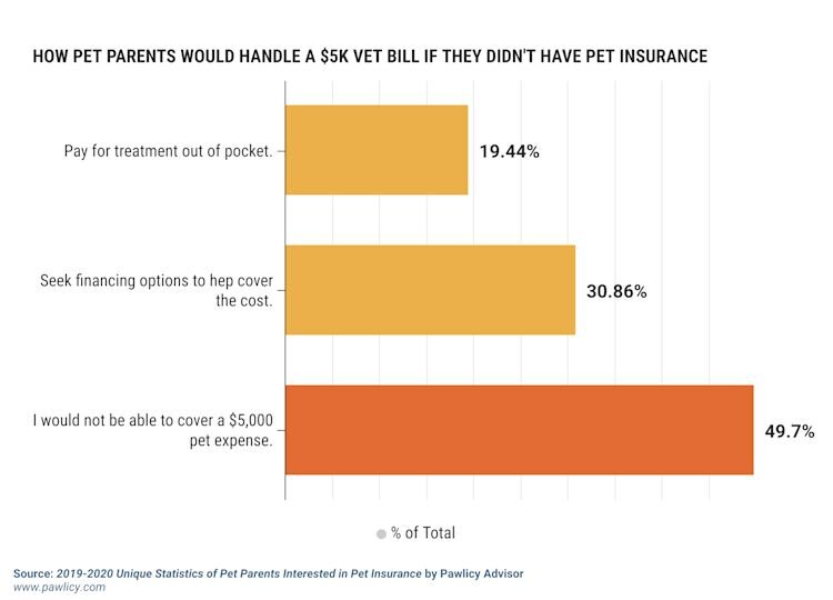 how pet parents handle a $5k vet bill