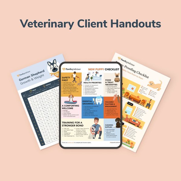 vet client handouts