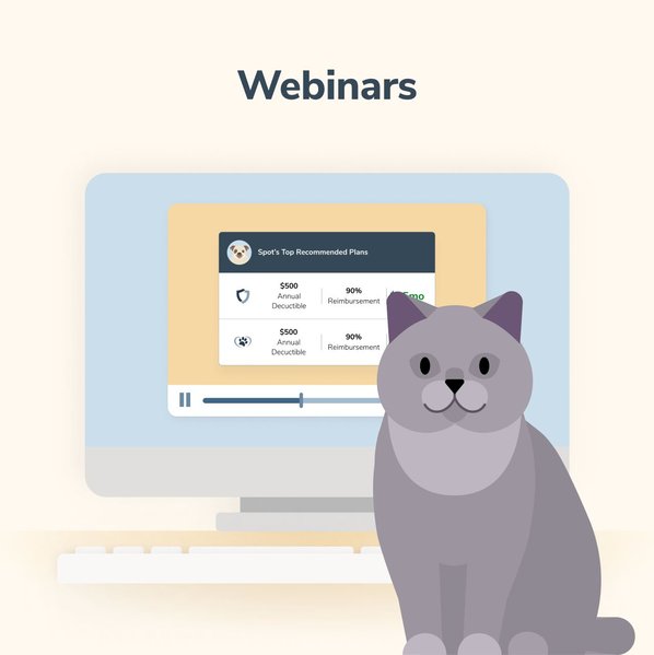 veterinary webinars