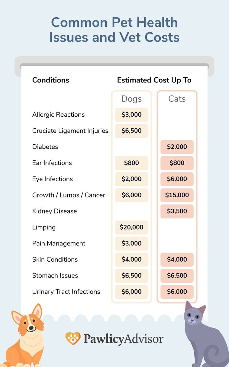 common vet expenses