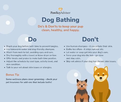 dog bathing do's and don'ts infographic