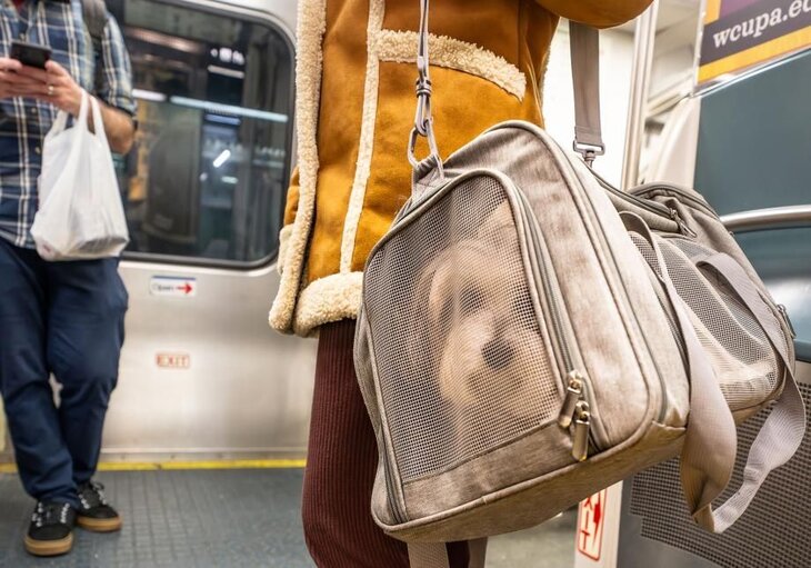 owner with dog inside a carrier bag on the subway