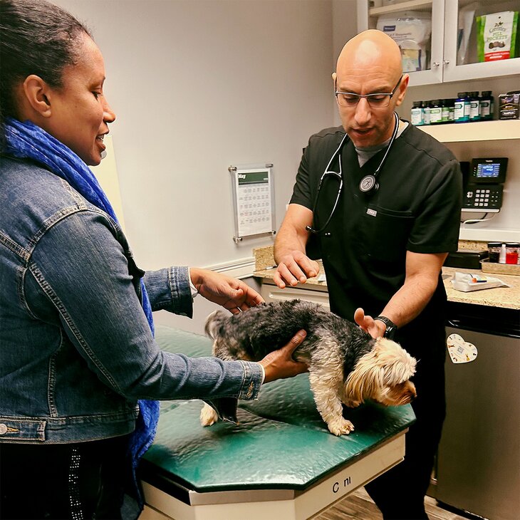 dog examined by vet at Howard Beach Animal Clinic