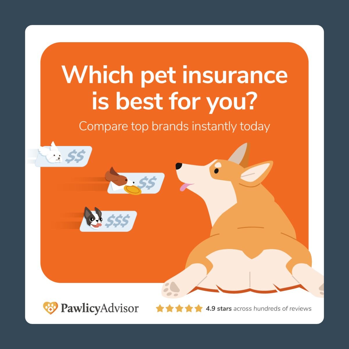 which pet insurance is best for you
