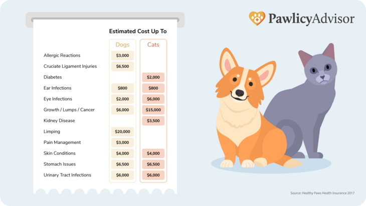 common veterinary expenses for dogs and cats