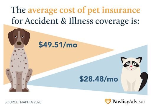 Average Cost of Pet Insurance