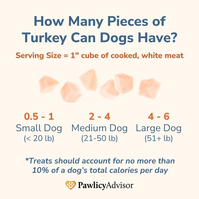 safe turkey serving for dogs